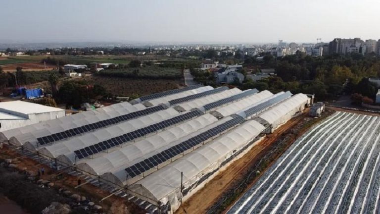 מערכת סולארית על גבי חממות - רותם אנרגיה