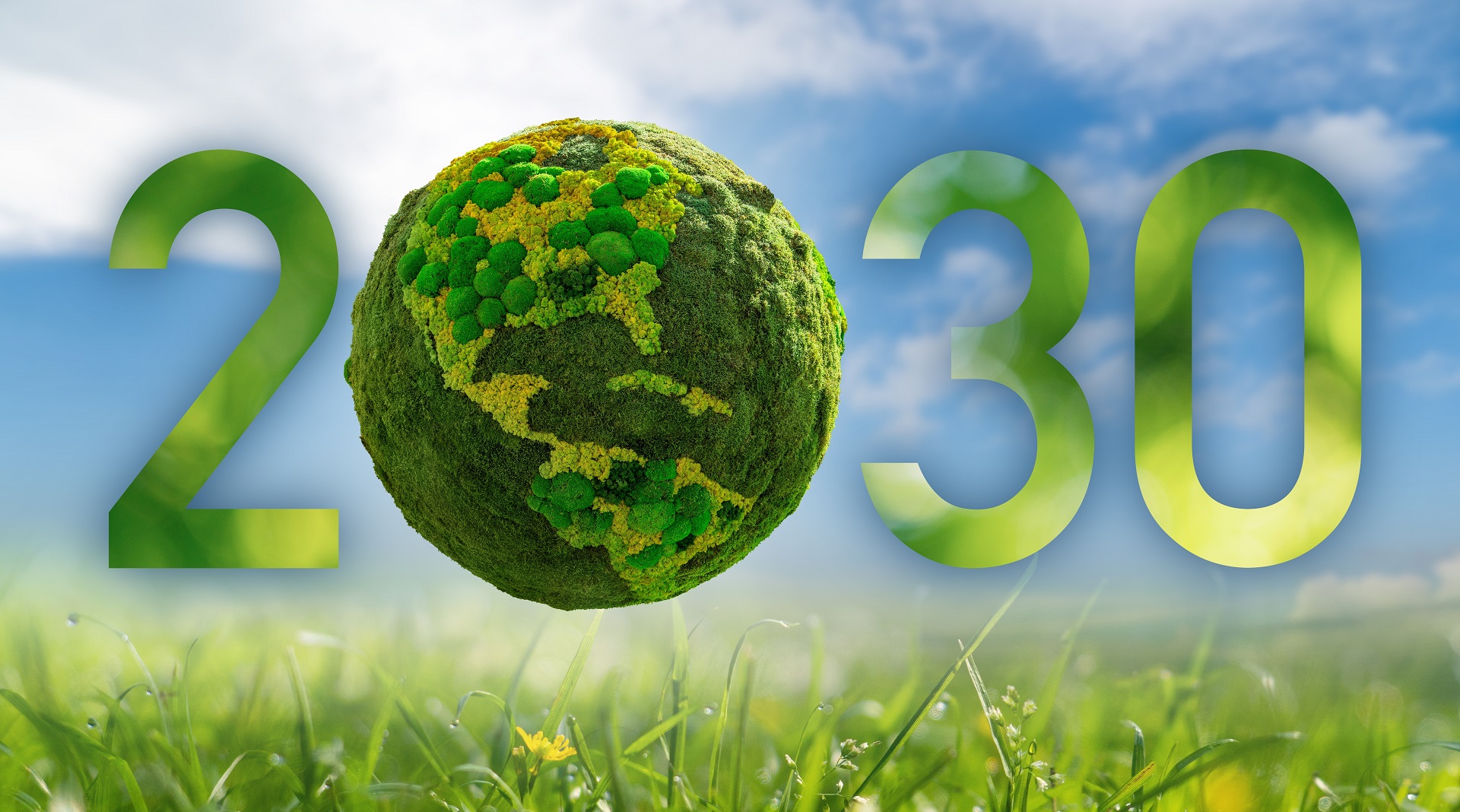 יעד מדינתי עד שנת 20230 להגיע ל30 אחוז ייצור חשמל ירוק - רותם אנרגיה - תמונה להמחשה