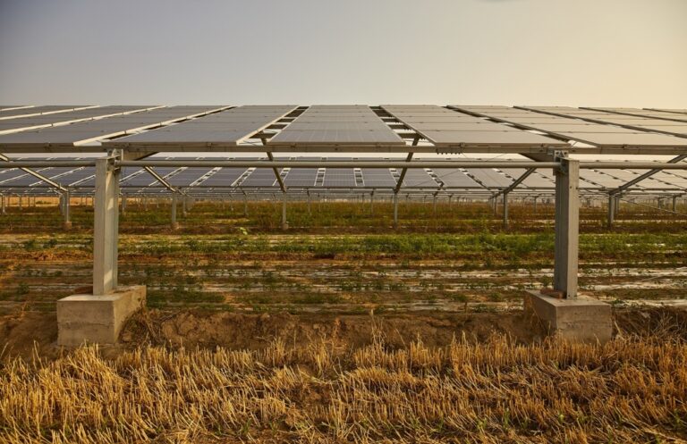 A Solar System on Plot A: How to Turn Your Land into an Additional Income Source?